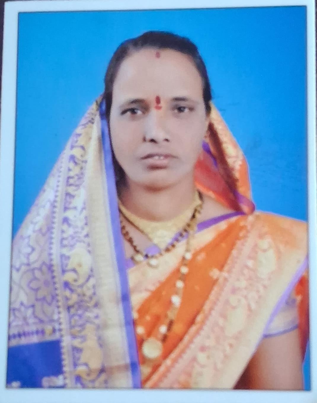 सदस्य